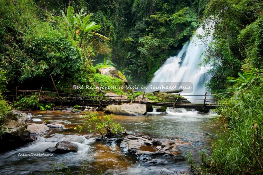 Best rainforests to visit in southeast Asia