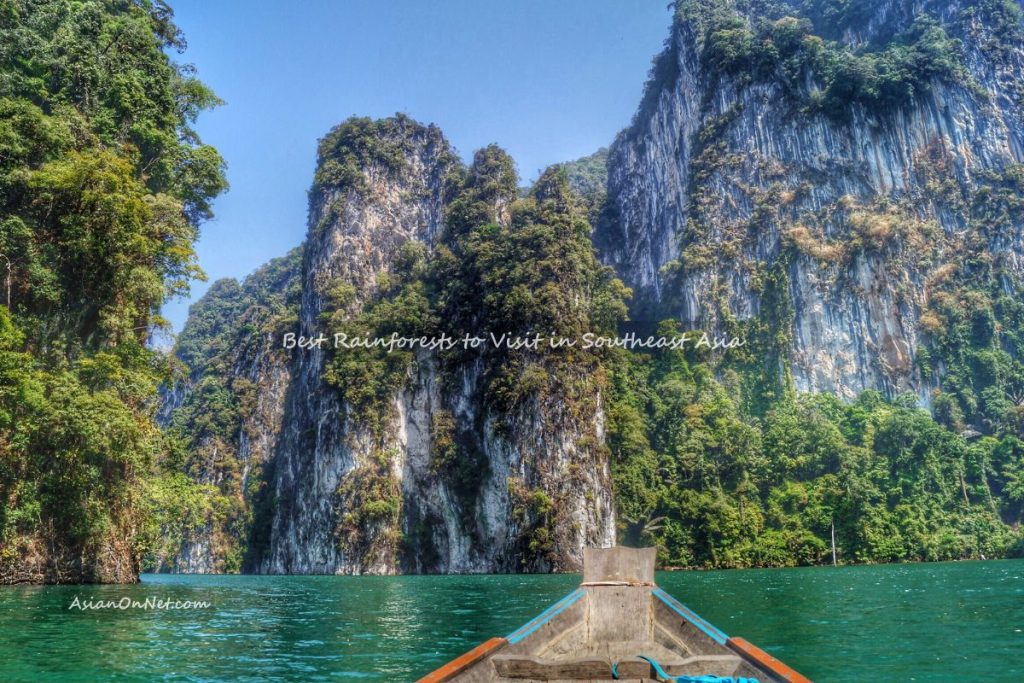 Best rainforests to visit in southeast Asia