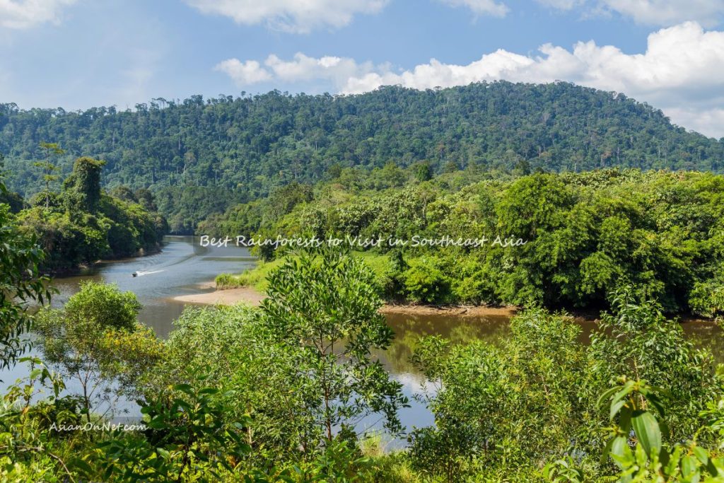 Best rainforests to visit in southeast Asia