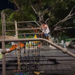 Best Kids Activities In Asia For Families