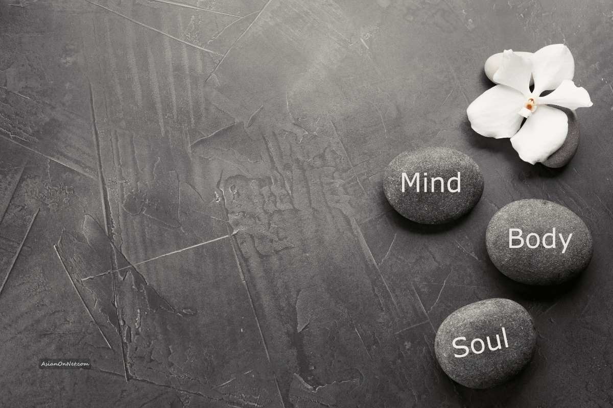 Mind And Body Wellness Tips